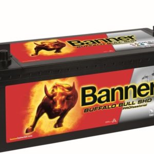 Startbatteri - Banner Buffalo Bull SHD Pro